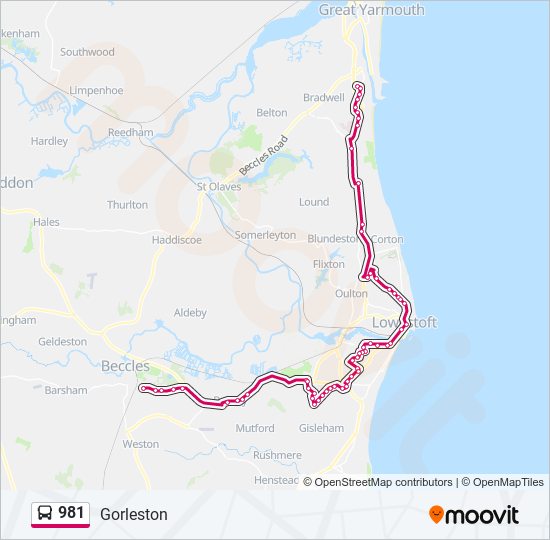 981 bus Line Map