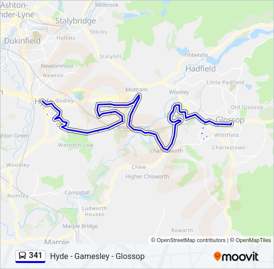 341 Route: Schedules, Stops & Maps - Hyde (Updated)