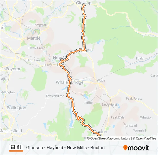 61 Bus Line Map