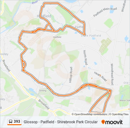 393 bus Line Map