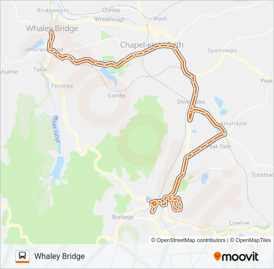 SKYLINE 199 Bus Line Map