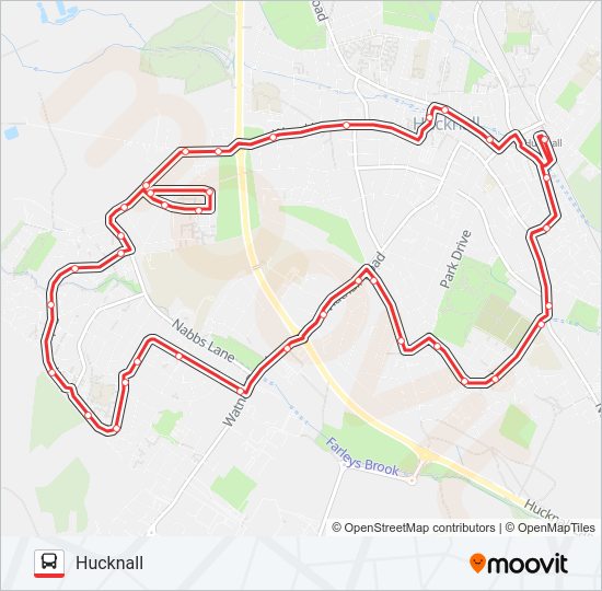 CONNECT Bus Line Map