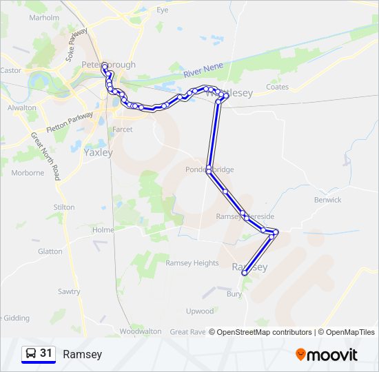 31 Bus Line Map