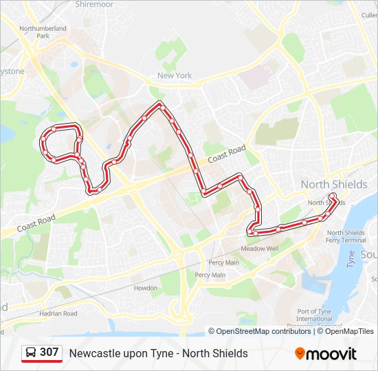 307 Route Schedules, Stops & Maps Hadrian Park (Updated)