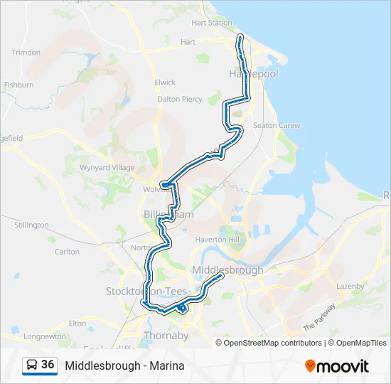 36 Route: Schedules, Stops & Maps - West View (Updated)