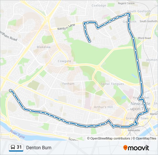 31 Bus Line Map