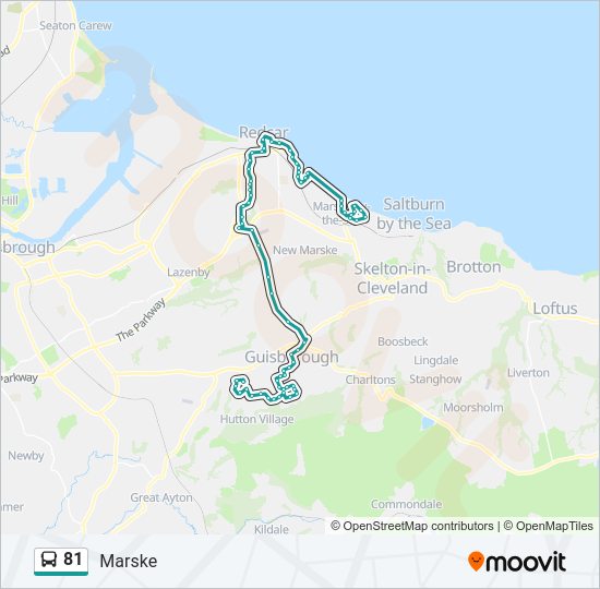 81 Bus Line Map