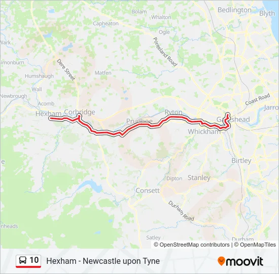 10 Bus Line Map