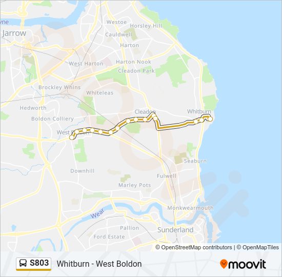 S803 Bus Line Map