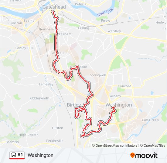 81 Bus Line Map