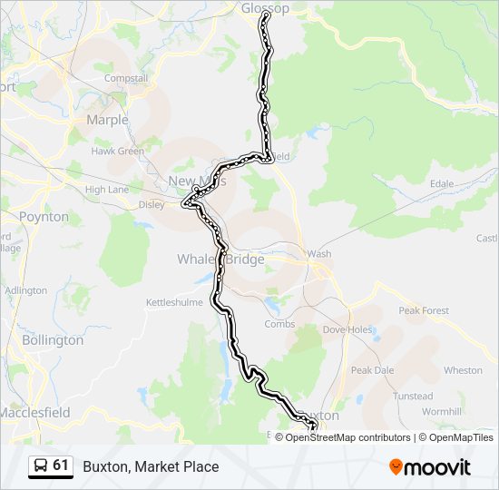 61 Bus Line Map