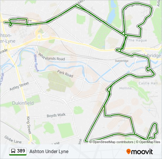 389 bus Line Map