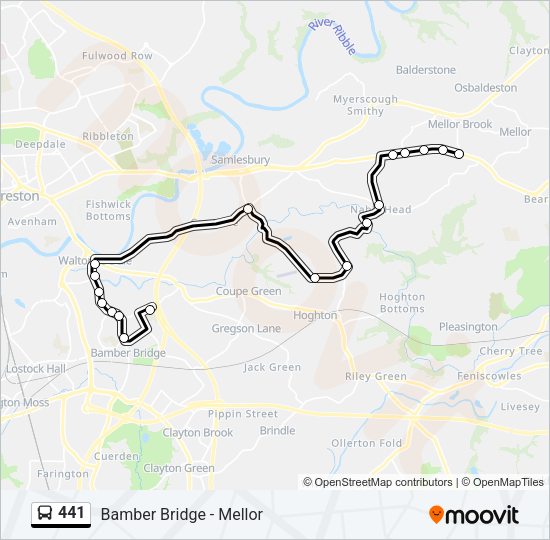 441  Line Map