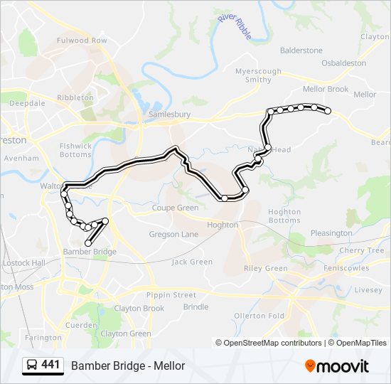 441 Route: Schedules, Stops & Maps - Mellor Brook (Updated)