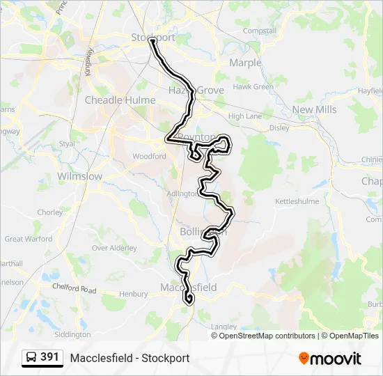 391 Route: Schedules, Stops & Maps - Bus Station (Updated)