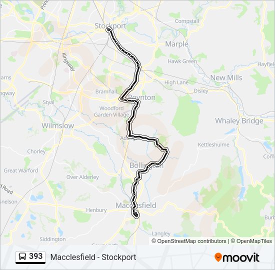 393 Bus Line Map