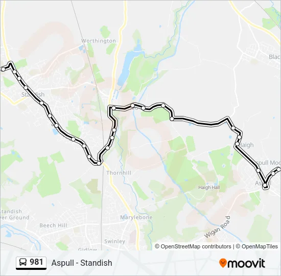 981 Bus Line Map