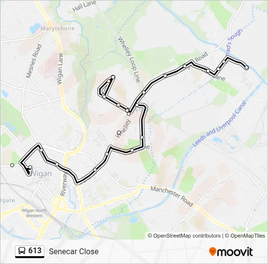 613 Route: Schedules, Stops & Maps - Senecar Close (Updated)