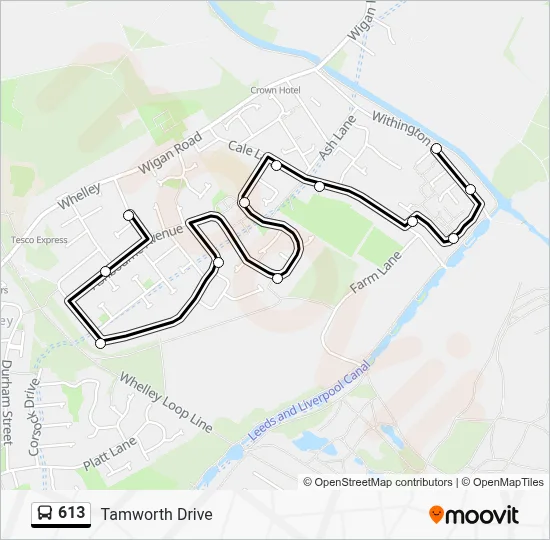 613 Route: Schedules, Stops & Maps - Tamworth Drive (Updated)