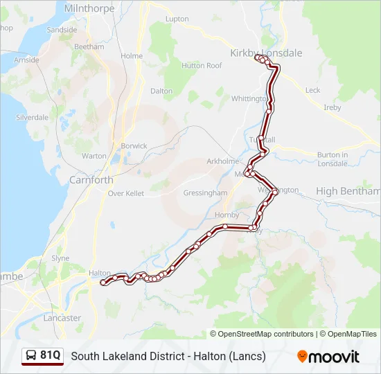 81Q Bus Line Map