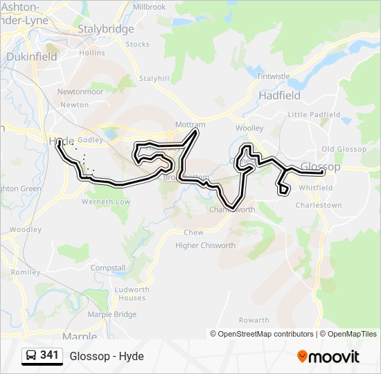 341 Route: Schedules, Stops & Maps - Hyde Bus Station (Updated)