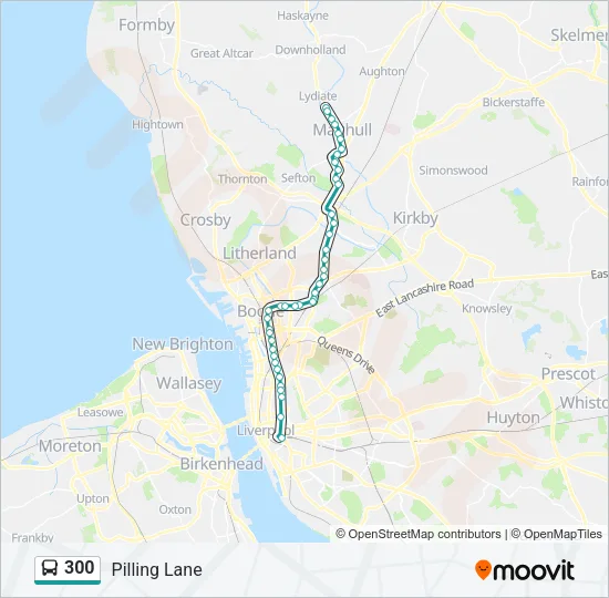 300 Bus Line Map