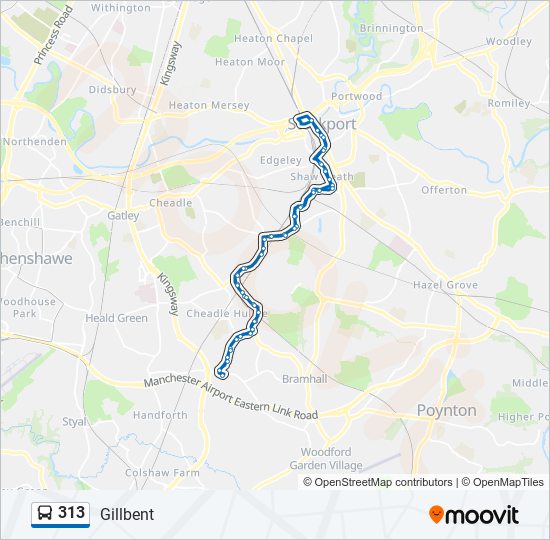 313 Route: Schedules, Stops & Maps - Gillbent (Updated)