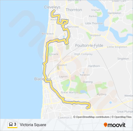 3 Bus Line Map