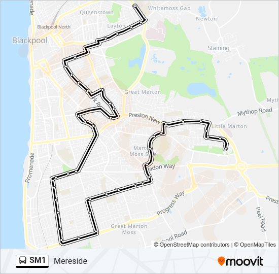SM1  Line Map