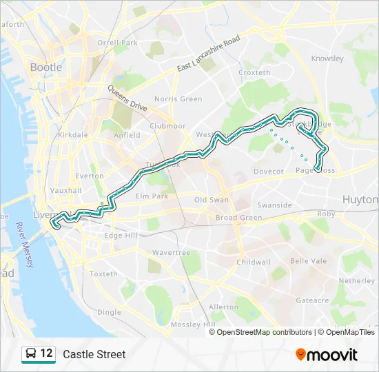 12 Route: Schedules, Stops & Maps - Castle Street (Updated)