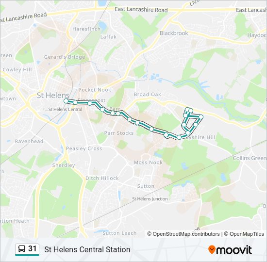 31 Bus Line Map