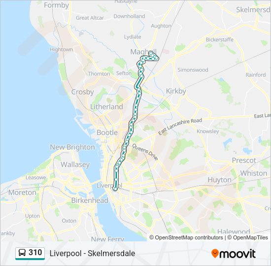 310 Bus Line Map