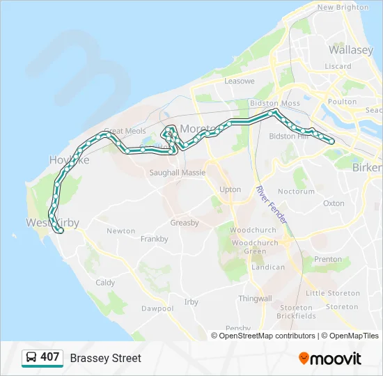 407 Route: Schedules, Stops & Maps - Brassey Street (Updated)