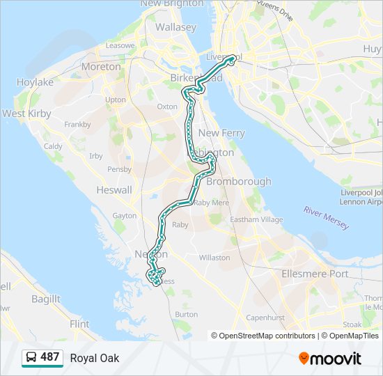 487 Route: Schedules, Stops & Maps - Royal Oak (Updated)