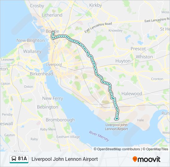 81A Bus Line Map