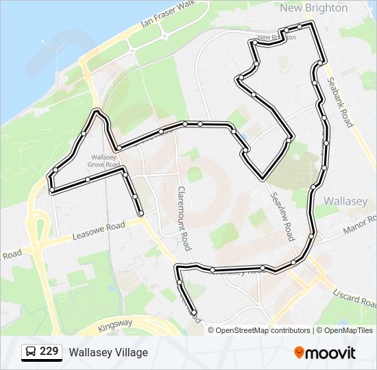229 Bus Line Map