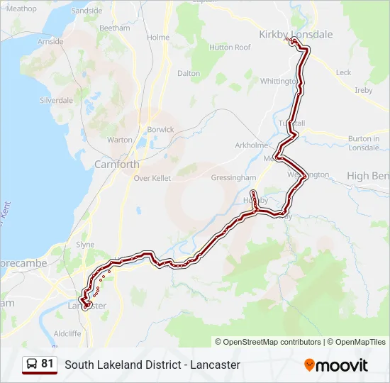 81 Bus Line Map