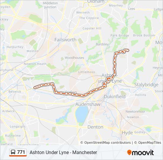 771 Route: Schedules, Stops & Maps - Lily Lanes (Updated)