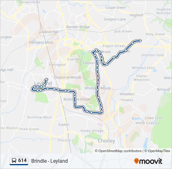 614 Route: Schedules, Stops & Maps - Leyland Town Centre (Updated)