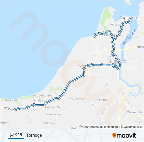 919 Bus Line Map