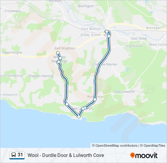 31 Bus Line Map