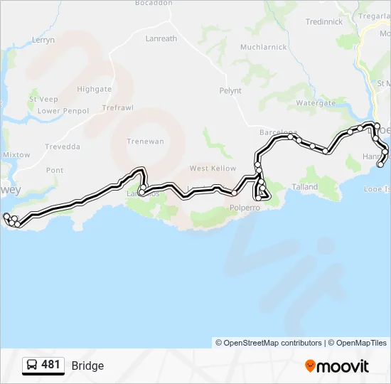 481 Route: Schedules, Stops & Maps - Bridge (Updated)