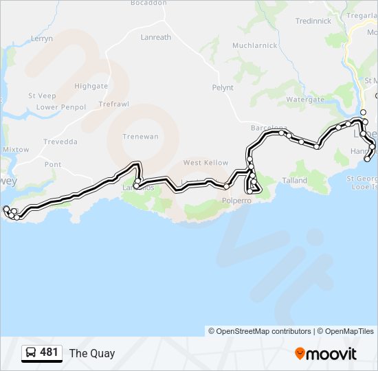 481 Route Schedules, Stops & Maps The Quay (Updated)