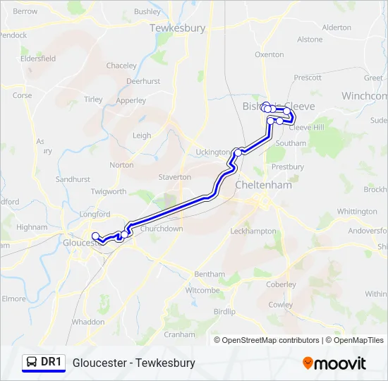 DR1 Bus Line Map