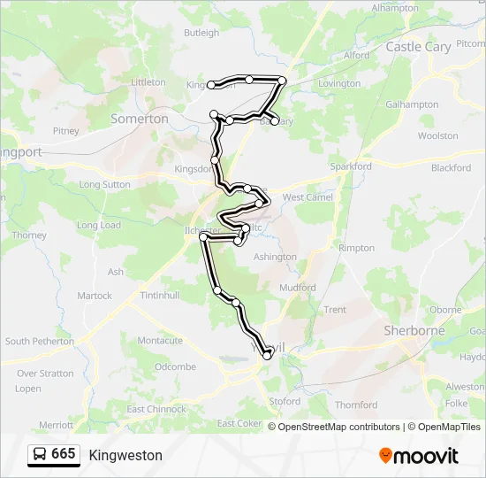 665 Route: Schedules, Stops & Maps - Kingweston (Updated)