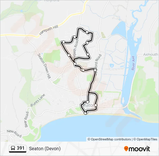 391 Route: Schedules, Stops & Maps - Seaton (Devon) (Updated)