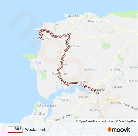 303 Route Schedules, Stops & Maps (Updated)
