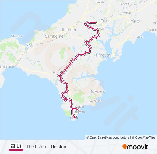 l1 Route: Schedules, Stops & Maps - Lizard (Updated)