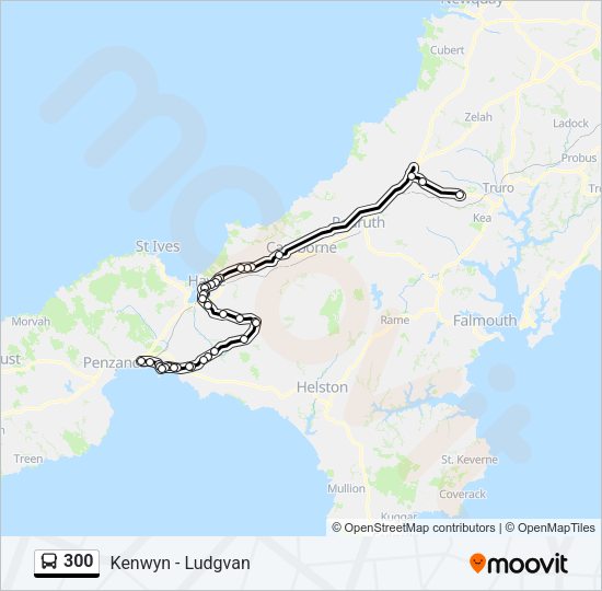 300 Bus Line Map