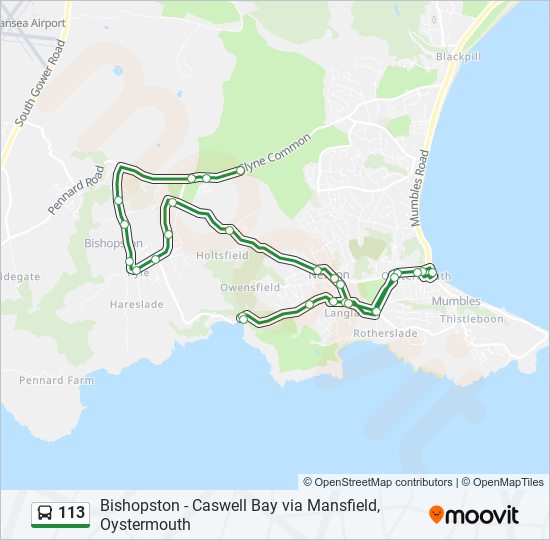 113 Route Schedules, Stops & Maps Northway (Updated)